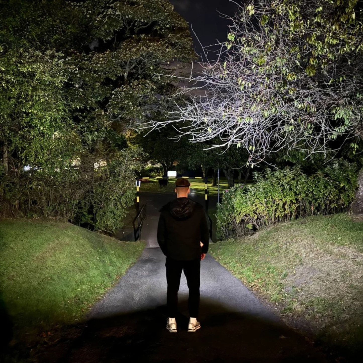 PawLight™ LED headlamp